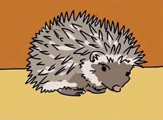 只有女人才懂得心酸,只有女人能懂得痛苦