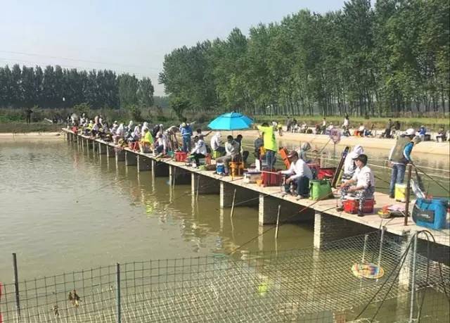沁阳钓鱼比赛,河南永城垂钓比赛