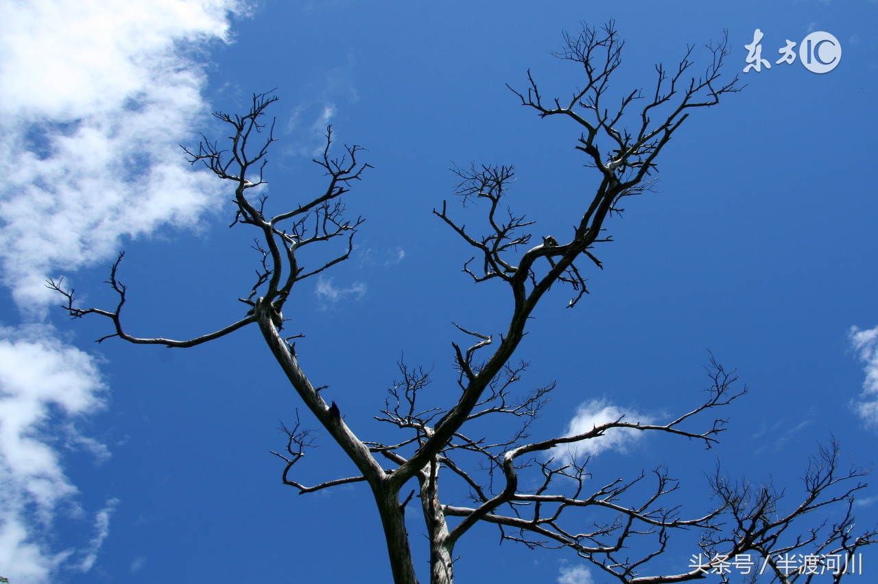 起点不决定终点感悟,人生起点和终点感悟