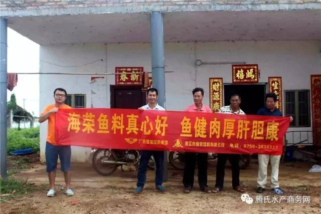 低成本养殖罗非,罗非养殖技术视频全集