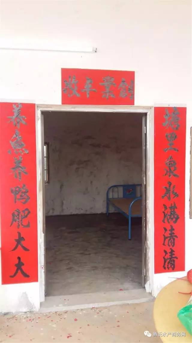 低成本养殖罗非,罗非养殖技术视频全集