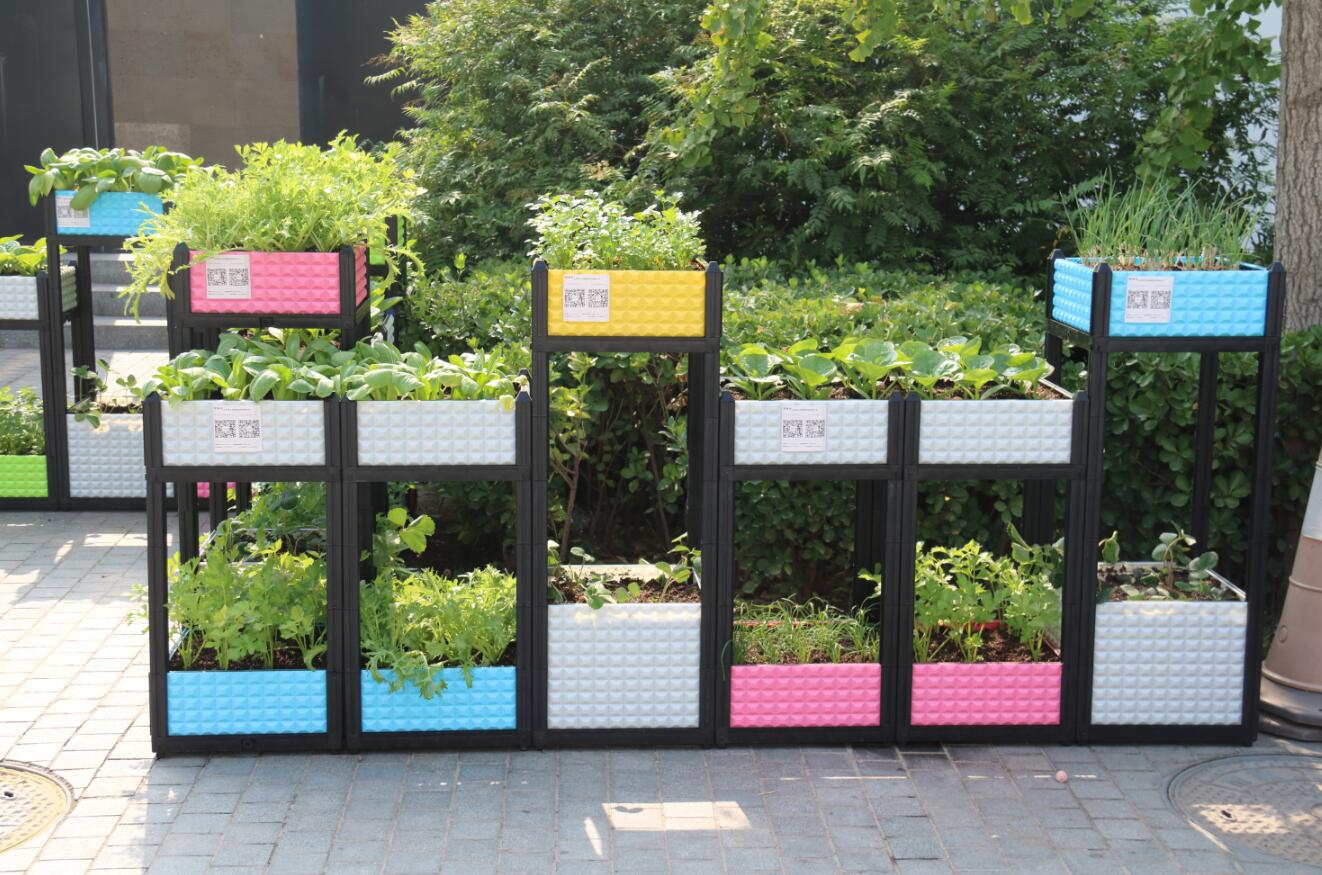 阳台种菜飞虫怎么去除无毒无害,阳台种菜有很多小飞虫杀虫剂