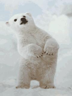 当有人说你是装的应该怎么怼,对象总说他很忙怎么怼回去