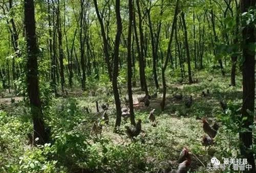 祁县三个村,祁县所有村名单