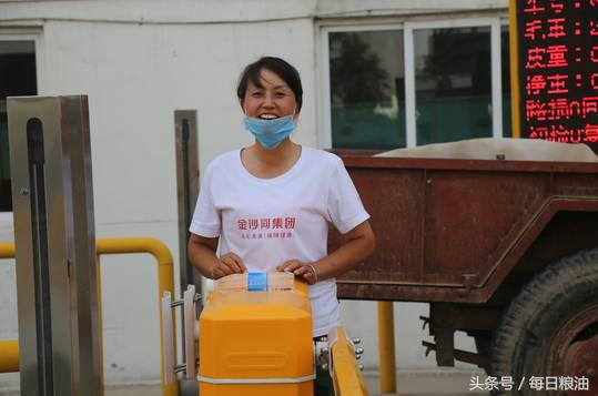 金沙河挂面是面粉起家吗,金沙河鸡蛋挂面纯小麦