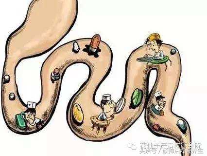 中医说拉肚子是好事,中医开药让腹泻是什么原理