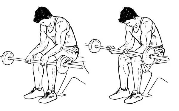 怎么专门锻炼你的小臂，让整条手臂充满力量？