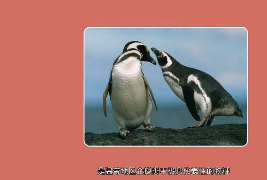 重庆欢乐海底世界儿童节门票,重庆欢乐海底世界海洋馆价格