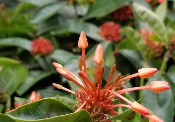 三星s9拍照评测,三星s20+手机拍照测评