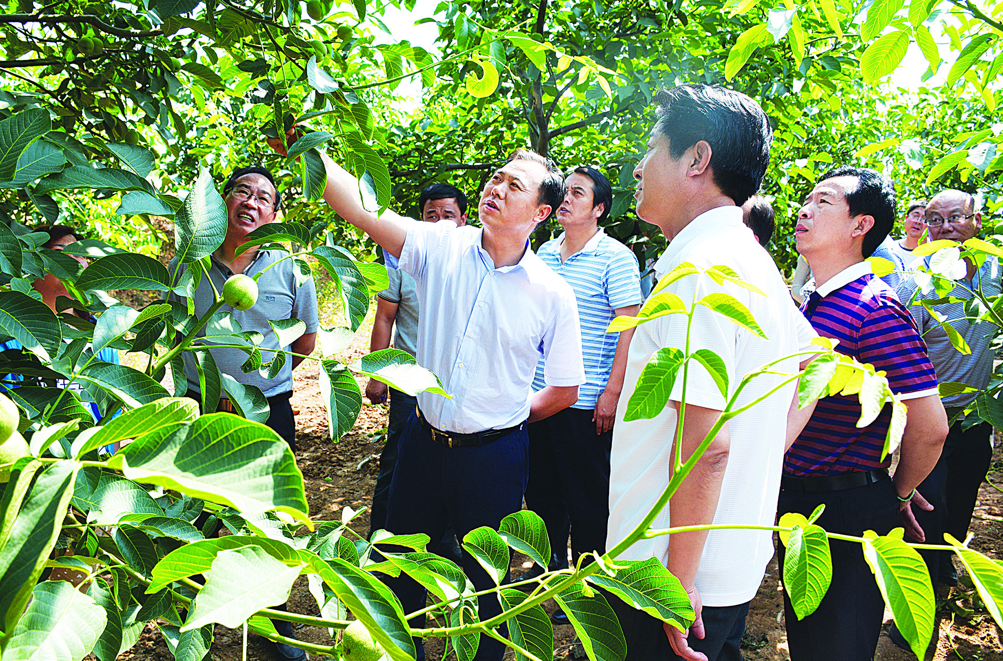 奋力书写新时代奋斗答卷,奋力书写脱贫奔小康的酉阳答卷