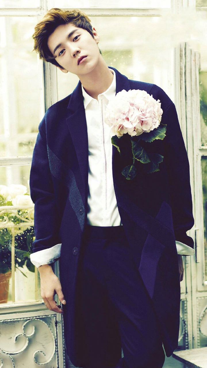 安静男生手机壁纸,手机壁纸鹿晗氛围感