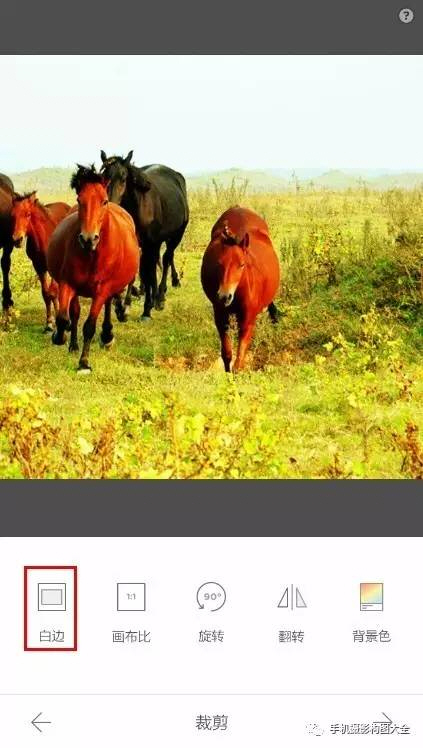 简单好用的相机p图软件,p图神器自拍照片滤镜一键搞定