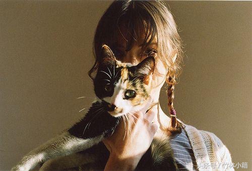 都说40岁的男人如驴，驴就驴吧，但能不能驴的尊严一点？