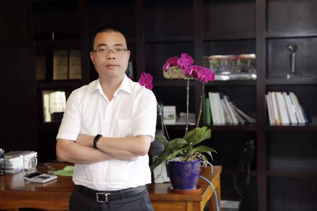 汤臣倍健健力多简介,汤臣倍健健力强