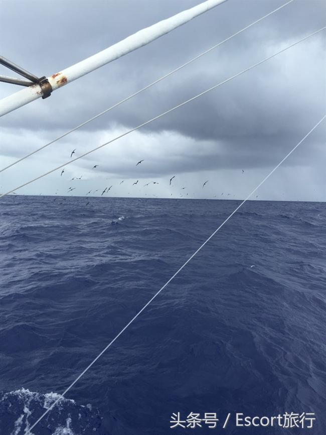 旅游景点攻略毛里求斯,分手大师毛里求斯取景酒店