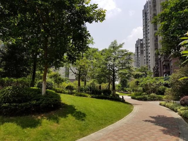 三星s8评测最新视频,三星s8升级安卓9.0