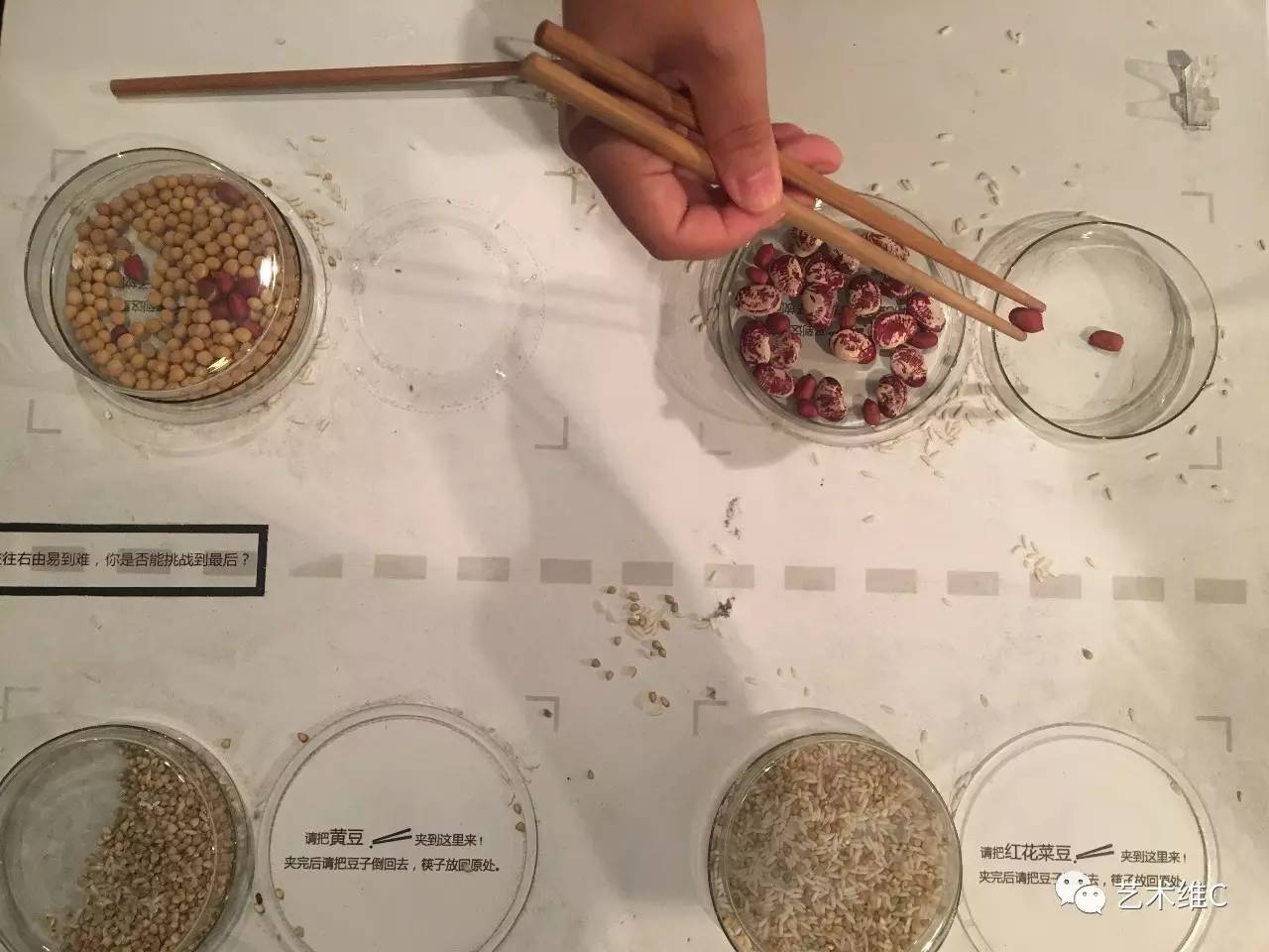 广美毕业展视觉设计,广州广美毕业展