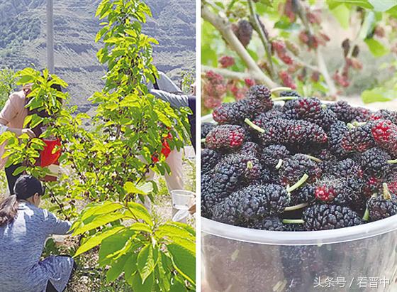 行走在乡上的路上,行走在田野乡间