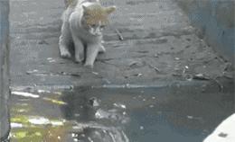 大爷的遮阳工具堪称完美,整体搭配又如此清新脱俗