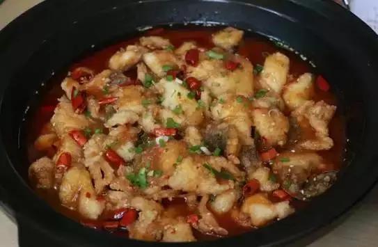 邂逅苏农,苏农视频