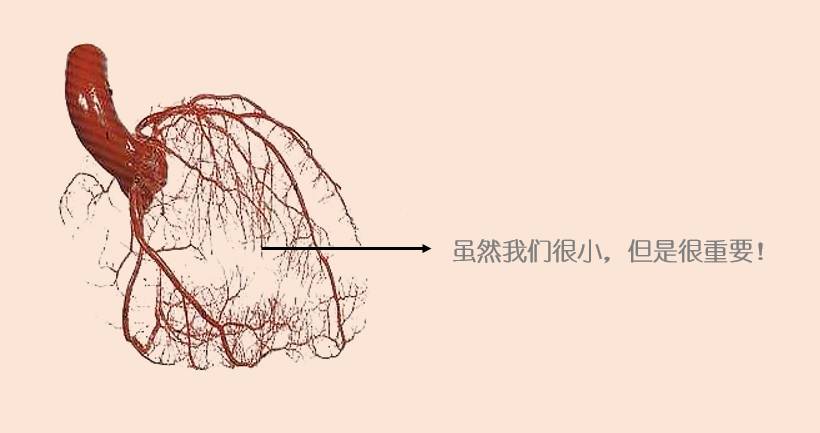 原来它一直在悄悄地搞事情——冠脉微循环障碍