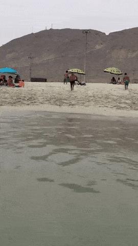 逗比搞笑：厂里刚来了一漂亮妹子，我和同事打赌谁先能让那妹子说喜欢你，输了请吃饭