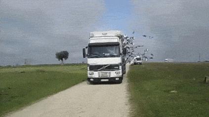 不要碧池公主了，兄弟情才是真爱