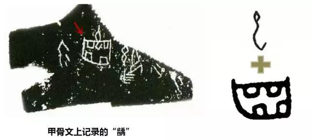 龋齿属于虫牙吗,蛀牙龋齿虫牙是怎么形成的