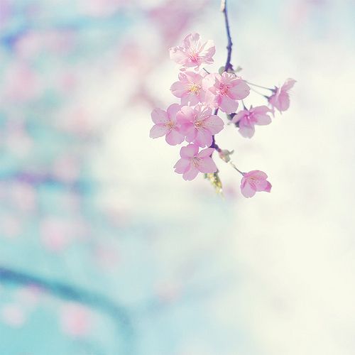 找对联20条精选,对联大全暗藏玄机