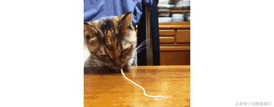 导入导出仪的正确使用方法,美容仪器导入导出仪的作用