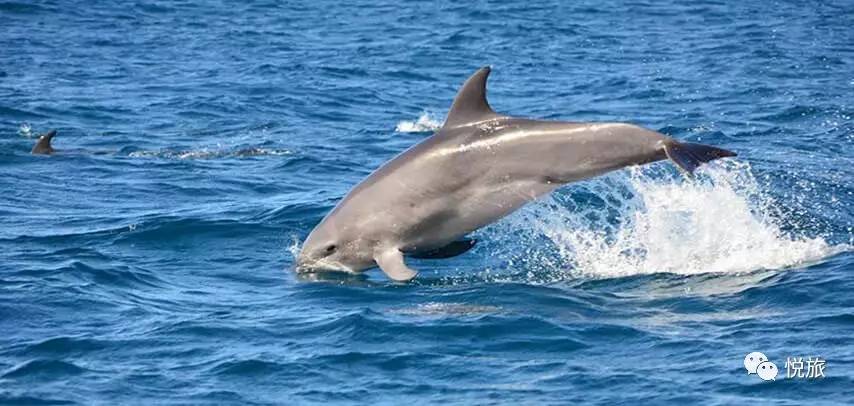 毛里求斯出境旅游攻略,刚去毛里求斯的人可以免签30天吗