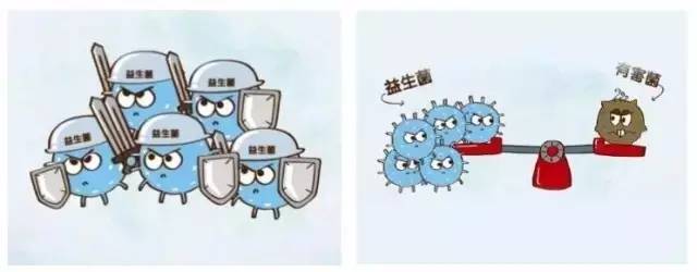 一文解答中药问题,一文掌握处方相关知识点