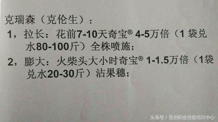 葡萄种植管理技术唐老师,如何管理葡萄才能高产的技术