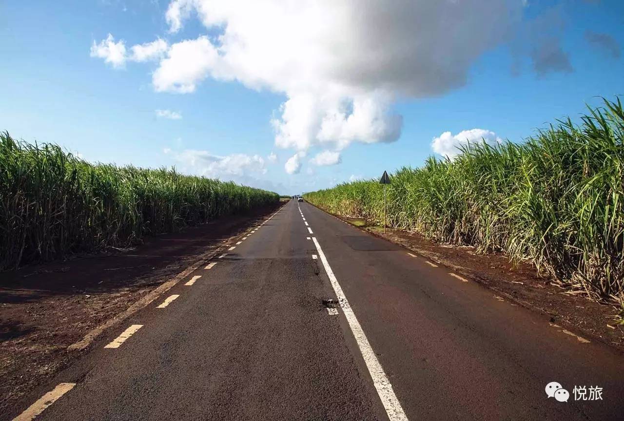 毛里求斯出境旅游攻略,刚去毛里求斯的人可以免签30天吗