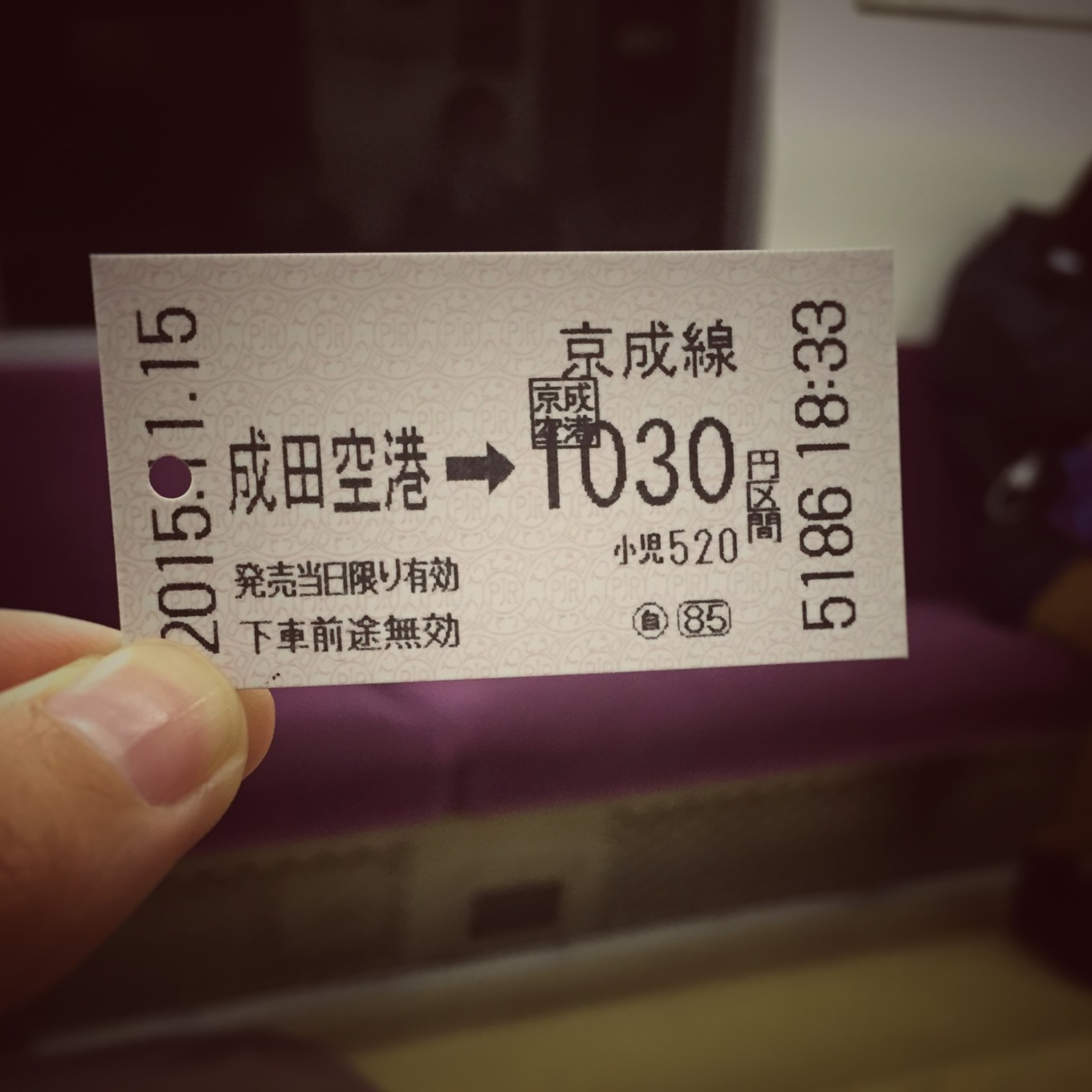 日本物语落樱下的邂逅,浪漫的日本物语