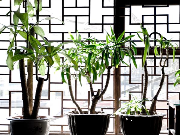 “高烧”天气,这几招防暑降温方法要掌握!