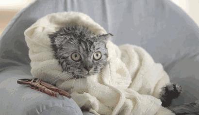 不用节食不用运动就能瘦不反弹,不节食不挨饿就能瘦