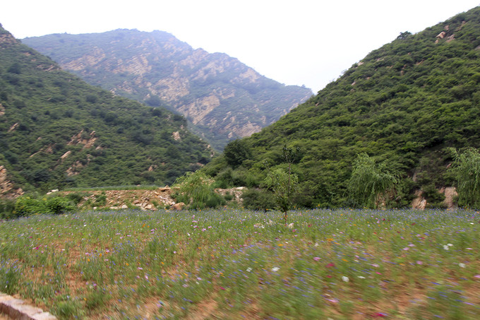 紫塞农家院风景区,紫塞周末农家院