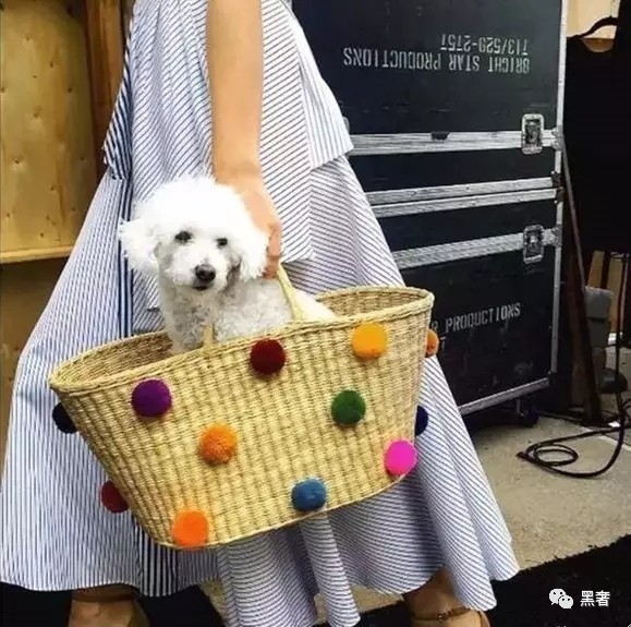 草编包包最新款推荐,轻奢草编包推荐