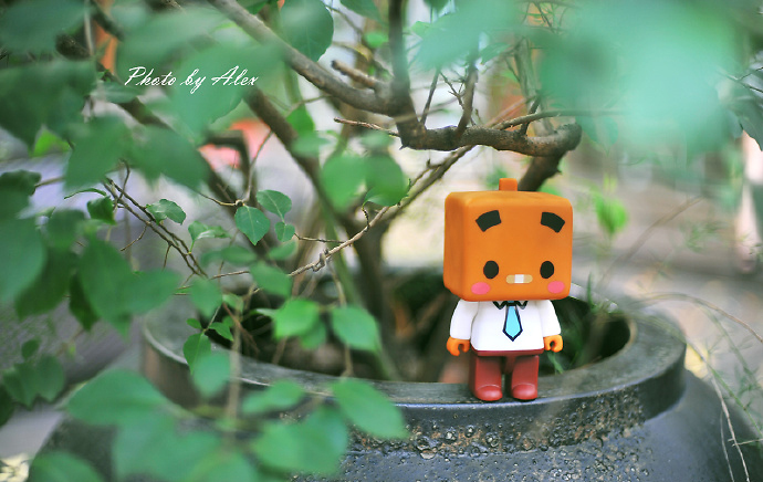 找对联20条精选,对联大全暗藏玄机