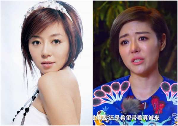 女歌手整容失败成什么样了,十位整容失败的女生