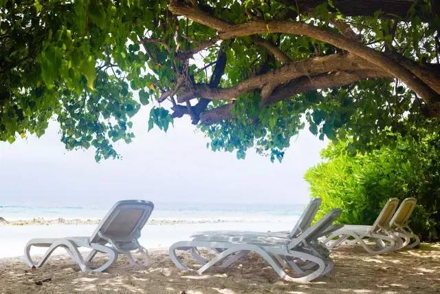 谁说带着娃就不能度蜜月？｜你没见过的马尔代夫游记