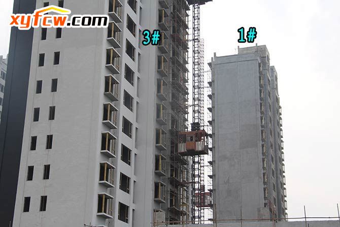 金园世界城二期工程,世界城二期开盘多少钱