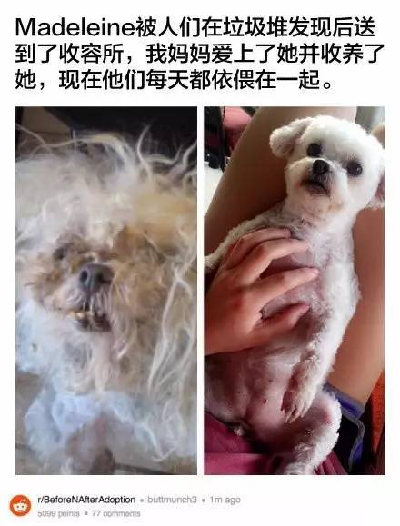 桌边社20170615：这么热的天气出门，撒孜然比喷香水更诱人