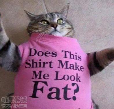 之前买的病猪被偷了,10头猪被偷了6头还剩四头