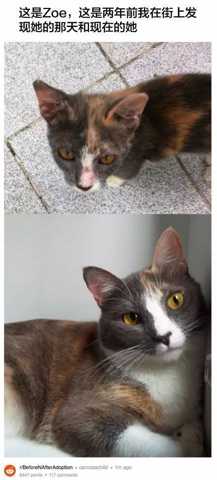 桌边社20170615：这么热的天气出门，撒孜然比喷香水更诱人