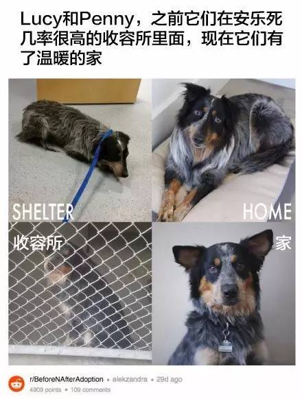 桌边社20170615：这么热的天气出门，撒孜然比喷香水更诱人