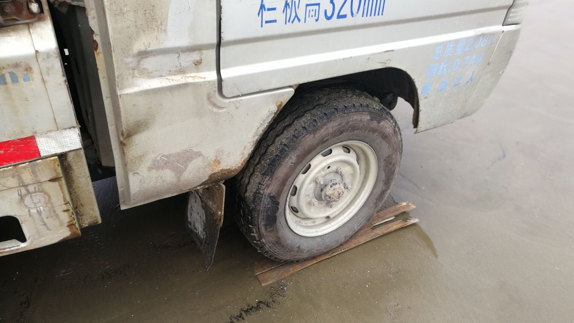 黄蛤怎么捕食,挖青蛤的正确方法视频