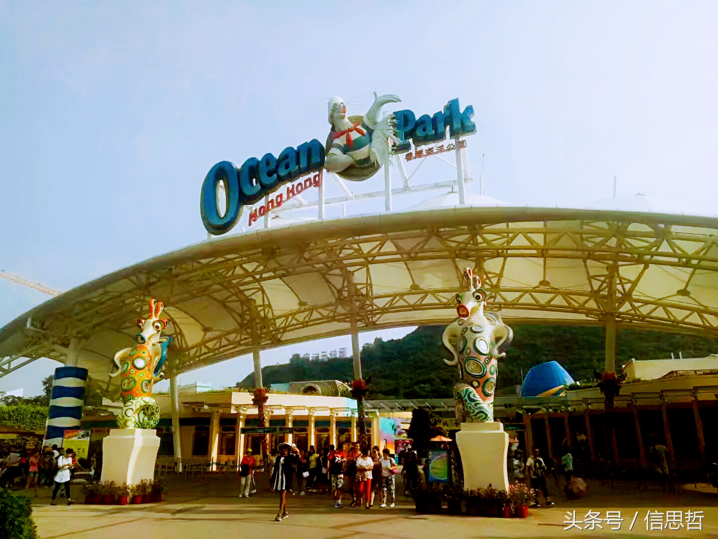 去香港旅游应该去哪玩,去香港旅游攻略最新消息