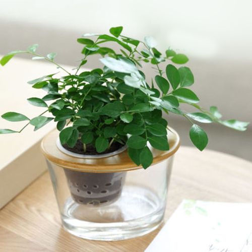 中医从零基础到精通看什么书,新手自学中医调理先看什么书